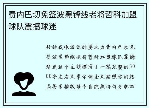 费内巴切免签波黑锋线老将哲科加盟球队震撼球迷