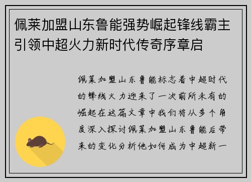 佩莱加盟山东鲁能强势崛起锋线霸主引领中超火力新时代传奇序章启
